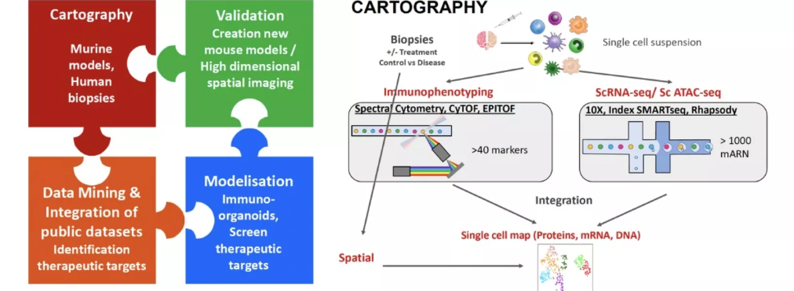 Cartography